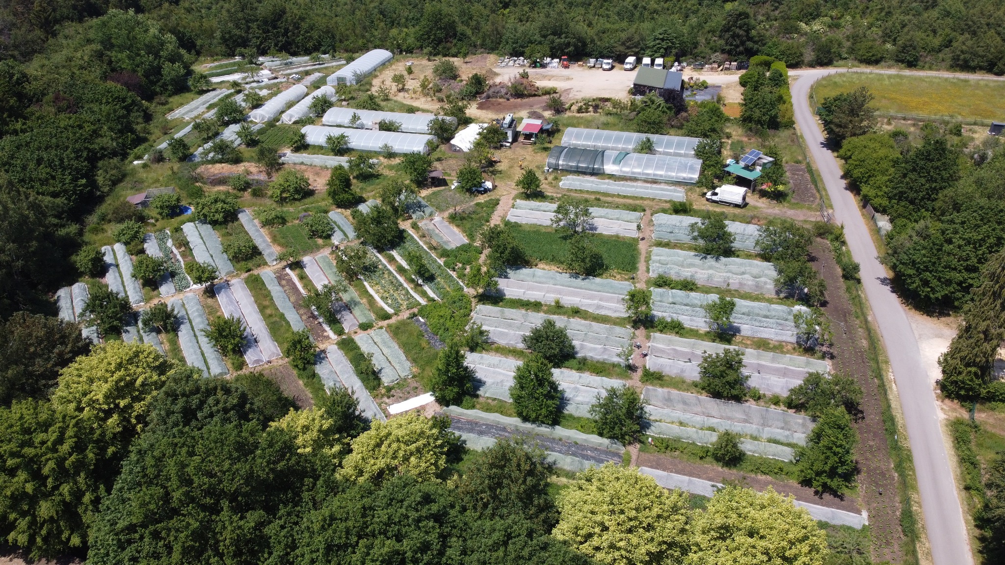 An aerial view of an urban farm with rows of greenhouses and cultivated plots surrounded by trees
