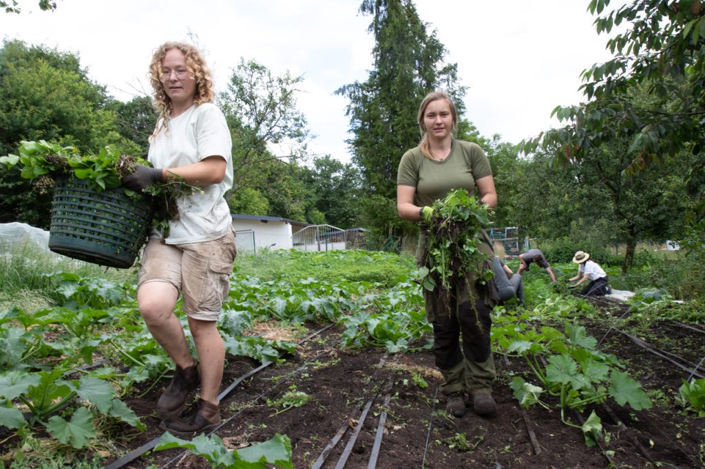 Two women standing in a field, harvesting crops with smiles on their faces.