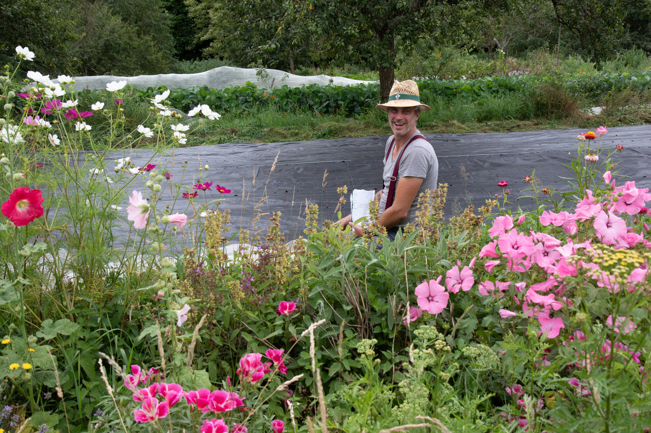 A man in a straw hat tending to a garden filled with colorful flowers and leafy greens.