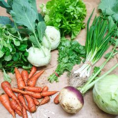 A selection of fresh organic vegetables including carrots, turnips, lettuce, and green onions