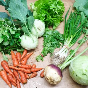A selection of fresh organic vegetables including carrots, turnips, lettuce, and green onions