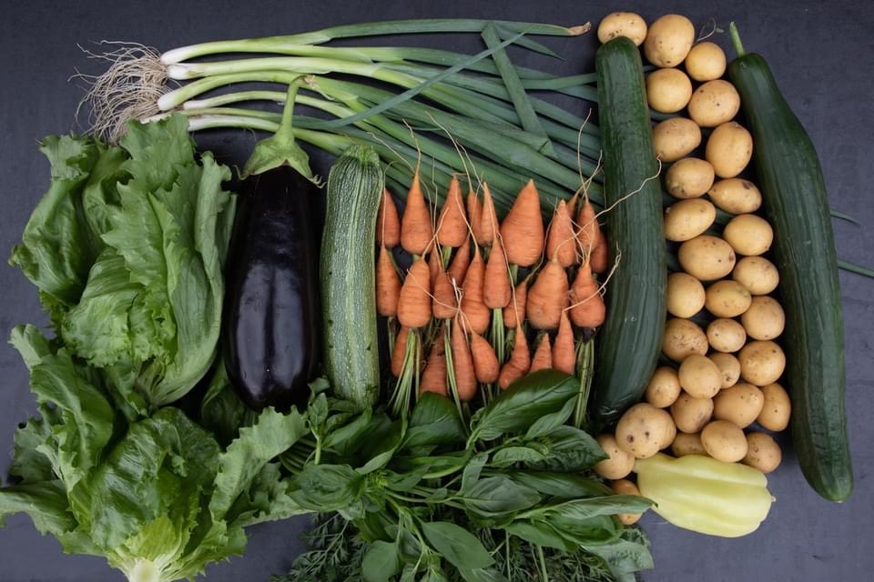 An arrangement of fresh vegetables including carrots, leeks, eggplants, and potatoes on a dark surface