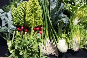 A table filled with freshly harvested vegetables such as carrots, fennel, radishes, and leafy greens