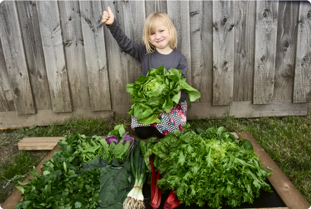 Smiling child holding a large head of lettuce and giving a thumbs up, surrounded by freshly harvested leafy greens in a garden