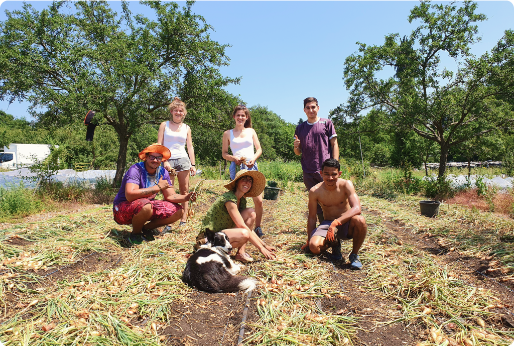A group of people posing together in a sunny field, some kneeling and others standing, with a dog sitting in front of them