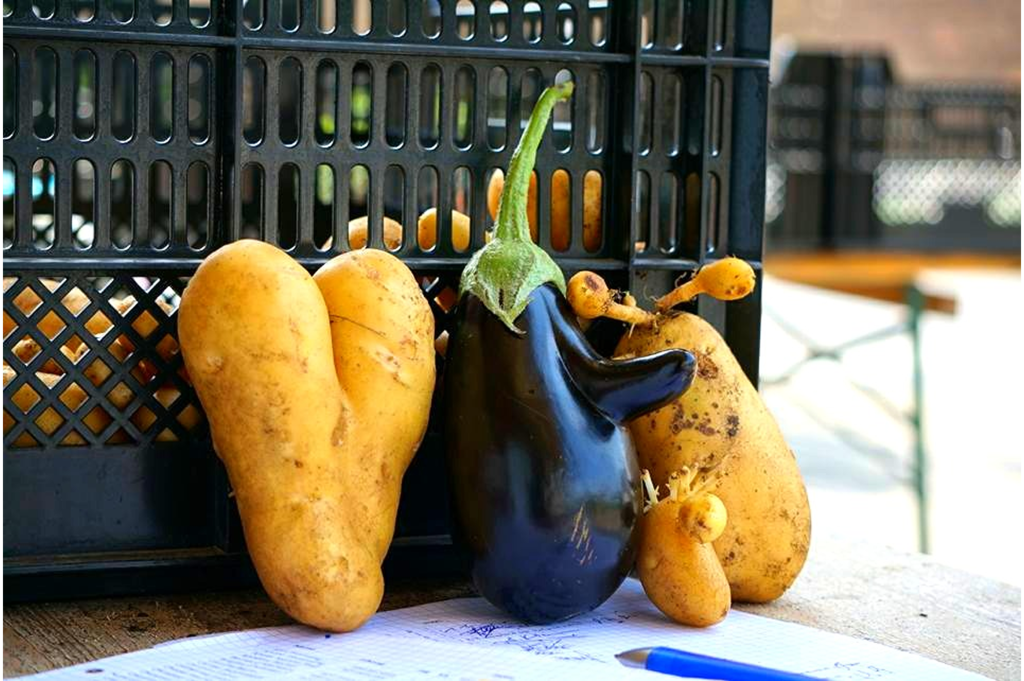 A display of unusually shaped potatoes and an eggplant leaning against a black crate, with a piece of paper and pen in the foreground