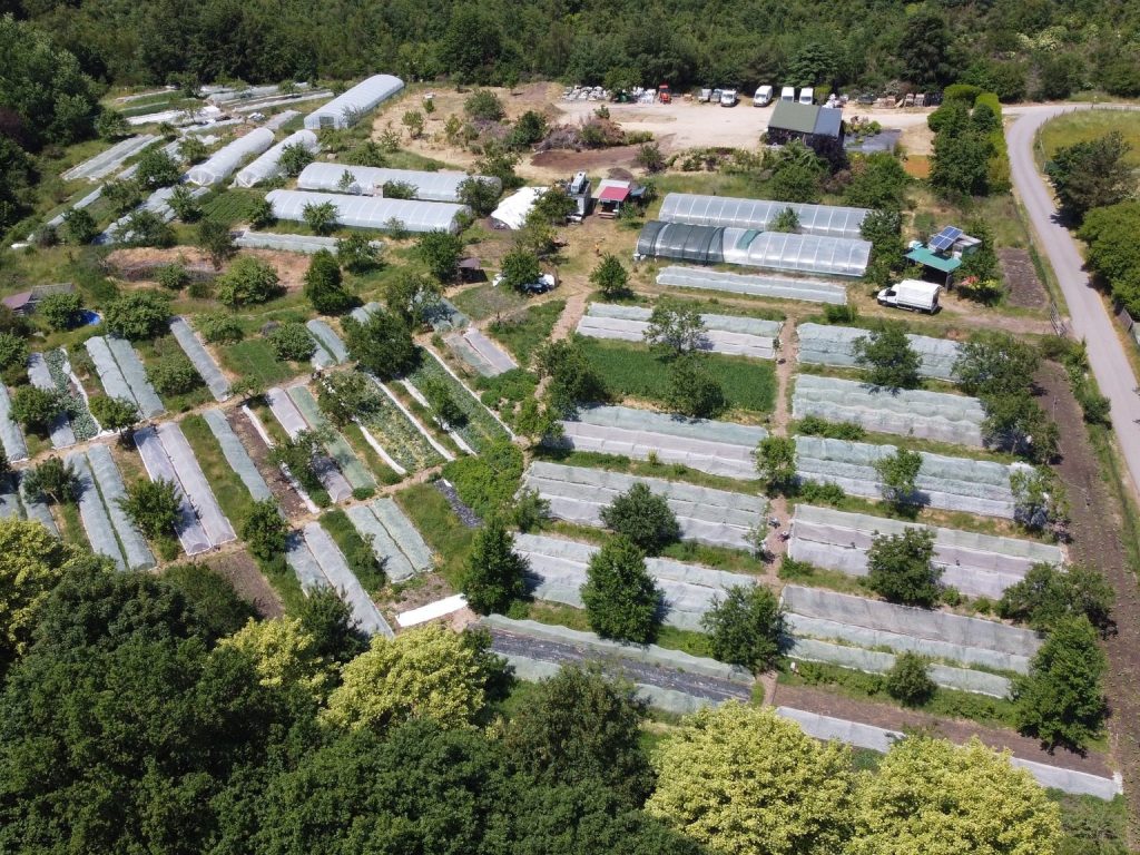 An aerial view of an urban farm with rows of greenhouses and cultivated plots surrounded by trees