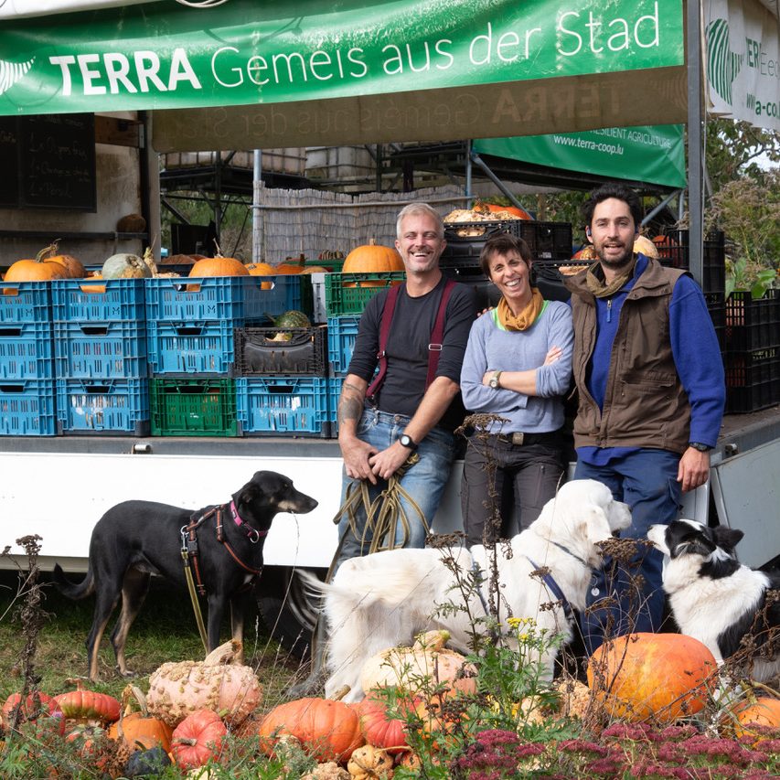 A group of smiling farmers posing with fresh produce and their dogs in front of a farm stand.