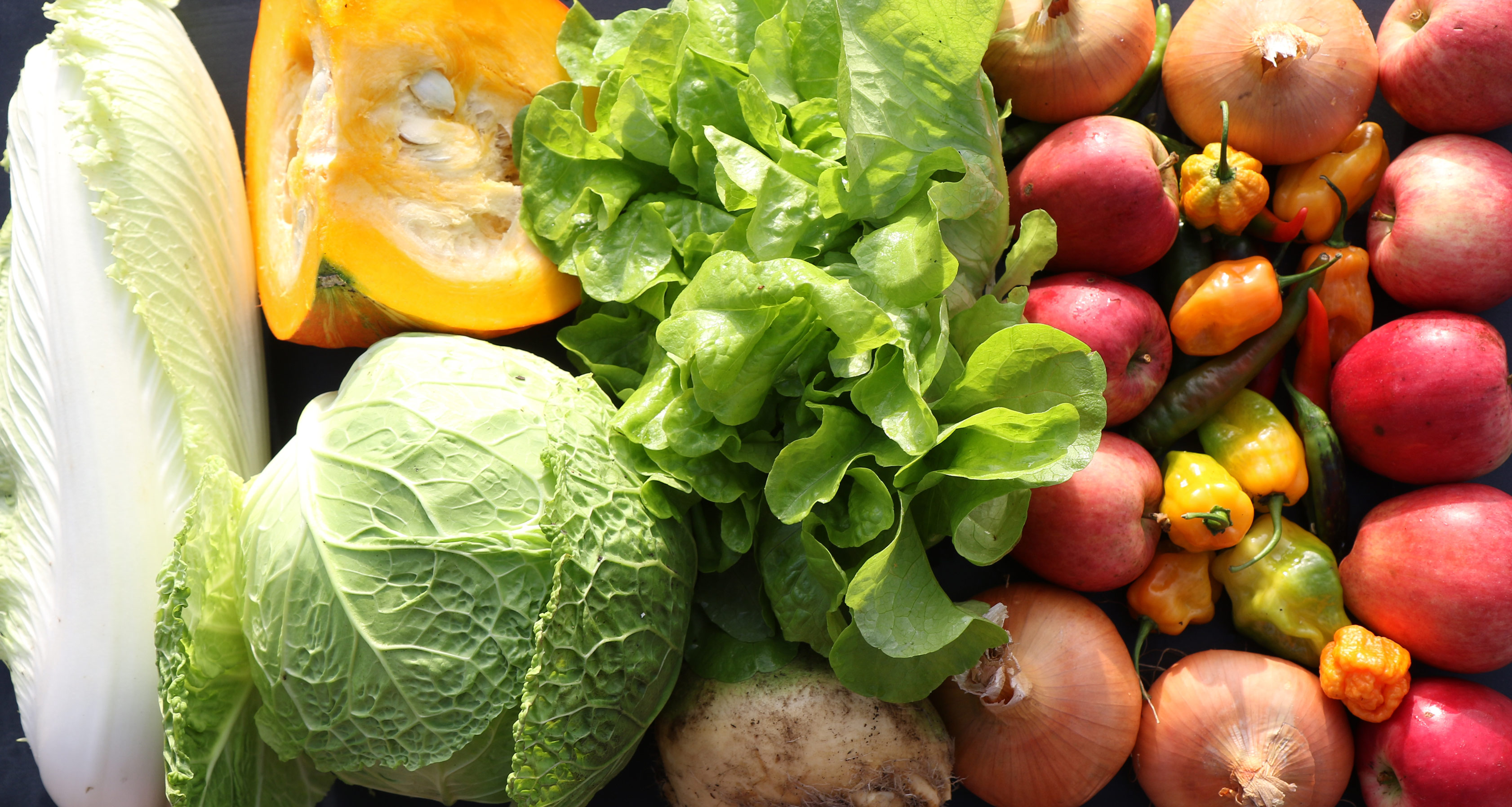 A selection of fresh vegetables, including lettuce, beets, and squash, arranged on a dark surface.