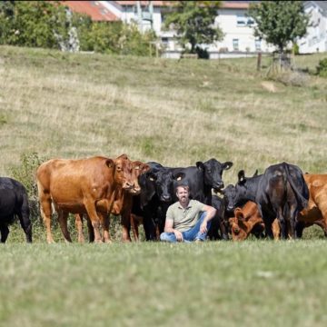 Viande de bœuf Angus
