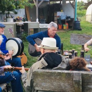 musicians playing Irish music in the garden