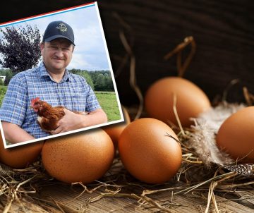 Oeufs bio