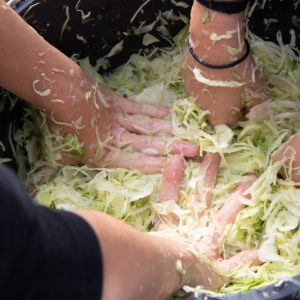 many hands making sauerkraut