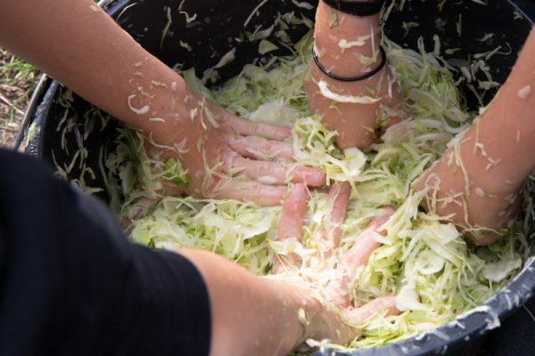 many hands making sauerkraut
